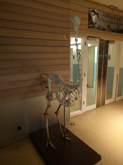 Photos of Faculty of Veterinary Medicine