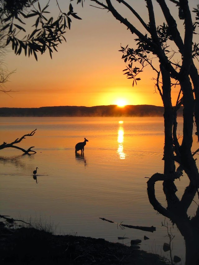 Habitat Noosa Everglades Eco Camp
