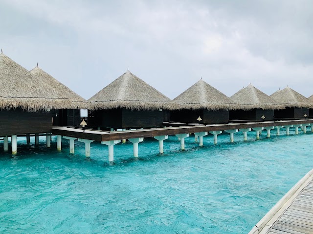 Taj Exotica Resort & Spa, Maldives