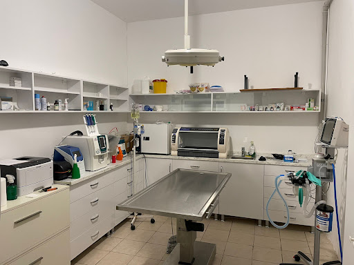 Lamina Veteriner Kliniği