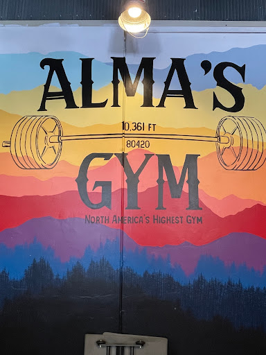 Alma's Gym - Thumbnail