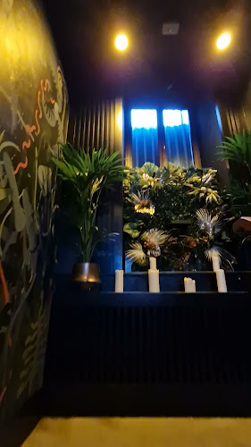 Numer telefony do Selavi