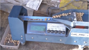 Photo n°9 de SCS SEMENCES à Bourguébus (Service agricole)