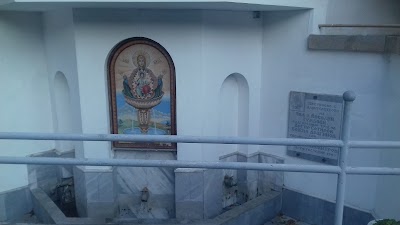 Photos of The fish church