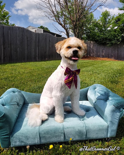 That Groomer Gal