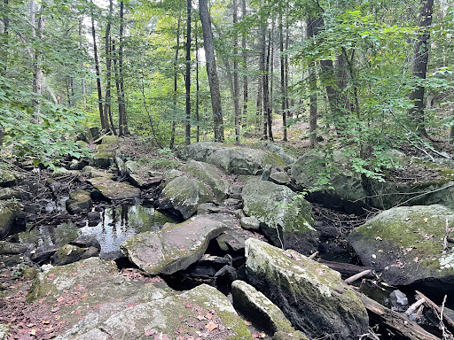 Pelton Pond - Fahnestock State Park - Thumbnail