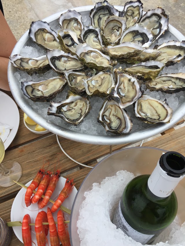 degustation le bout du monde