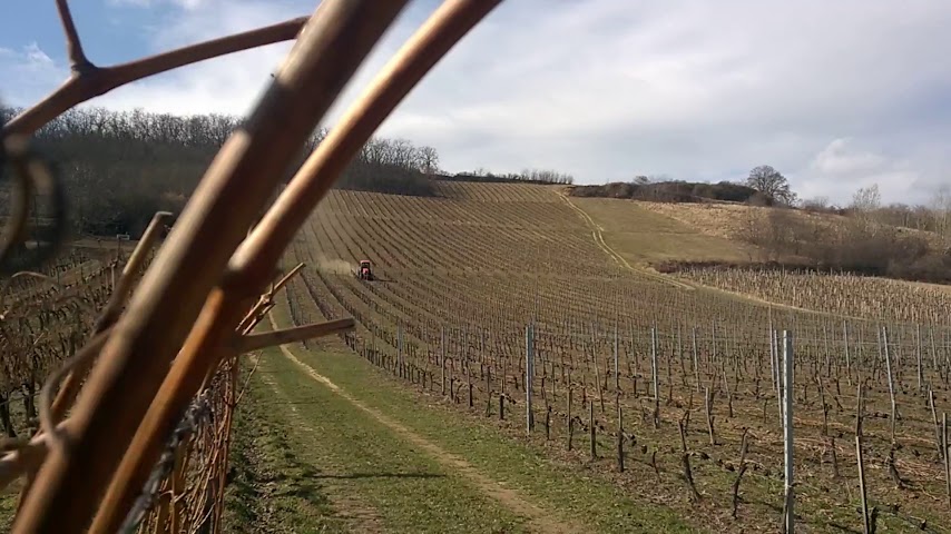 Hímesudvar winery by null