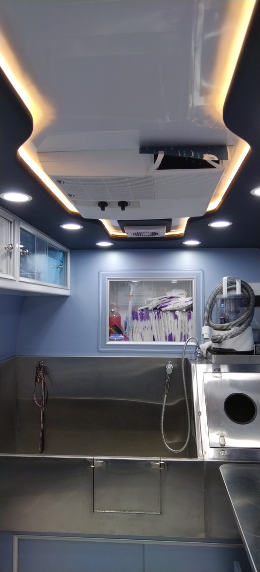 عيادة القطة اللطيفة البيطرية المتنقلة ®Cute Cat - صورة 2