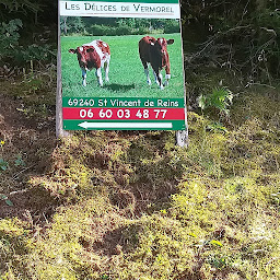 Photo n°4 de Les Délices de Vermorel à Saint-Vincent-de-Reins (Ferme d'élevage)