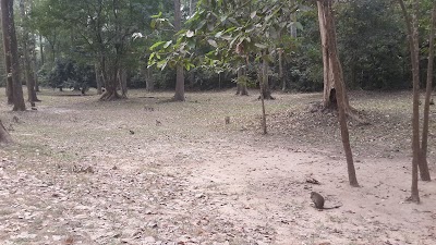 park