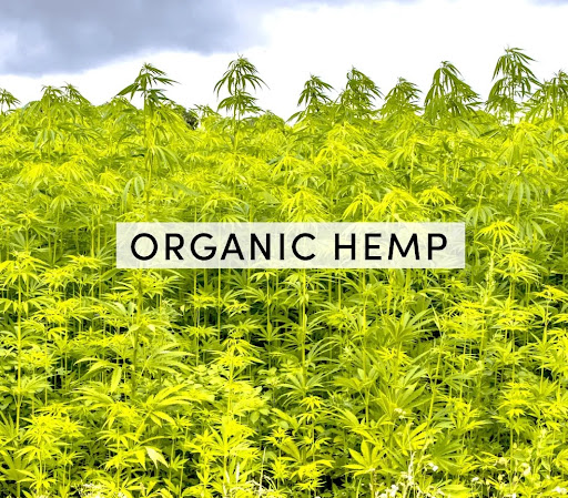 Bryan Organics