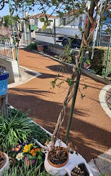 Photo n°37 de VINSONNEAU TP & MACONNERIE à Val-de-Cognac (Maçon)