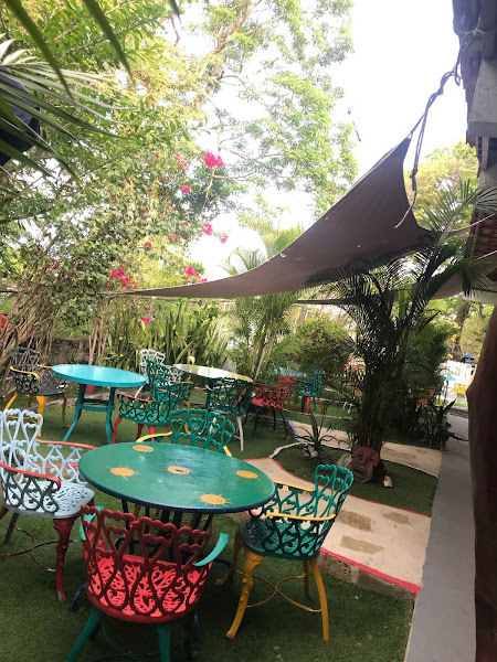 Casa Tortuga — photo