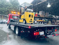 Lion Towing LLC