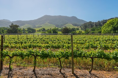 Photos of Wine Tours Cape Town & Stellenbosch - Private tours since 2002