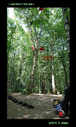 Photo n°6 de Arbre & cimes à Monthou-sur-Cher (Service d'élagage)