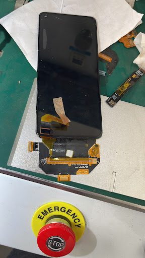 Gallery image 300