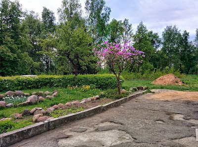 Photos of Chp "Kondrachenko I Synov'ya"