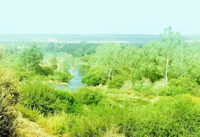 Photos of River Front Estate
