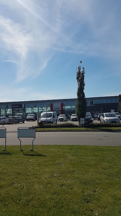 car-dealer
