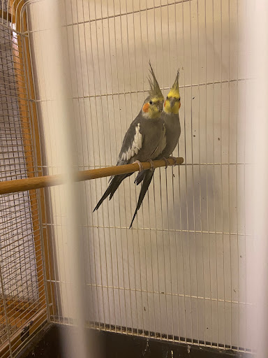 Mariestads Zoologiska HB