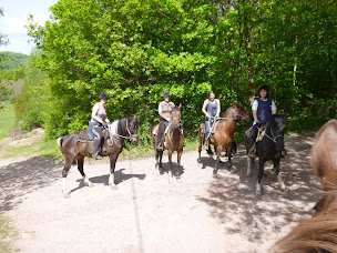 Photo n°1 de Relais équestre du Neufeld à Oberhaslach (Centre équestre)