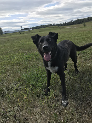 Clearwater Vet Clinic - Thumbnail