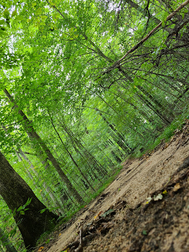 Lightning Bend Park - Thumbnail