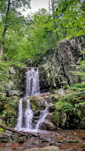 Doyles River Cabin Gallery - United States