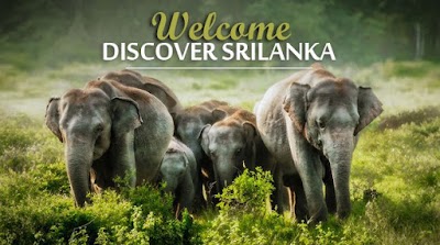 Photos of JK Travels & Tours