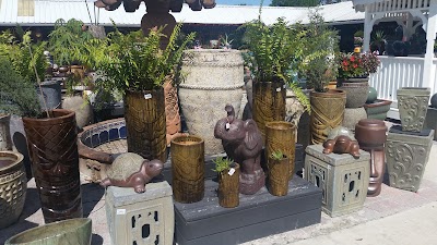 Photos of Pottery Express & Bamboo Farm