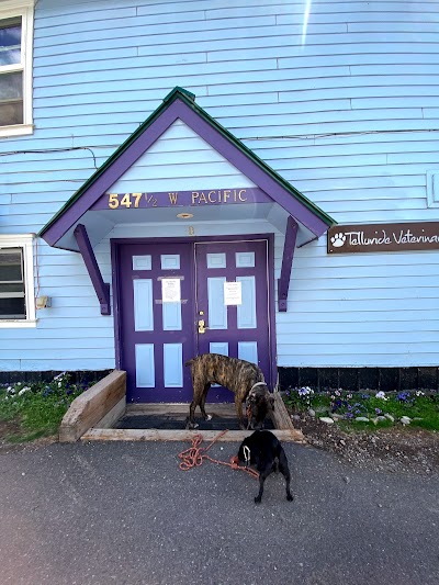 Telluride Veterinary Clinic