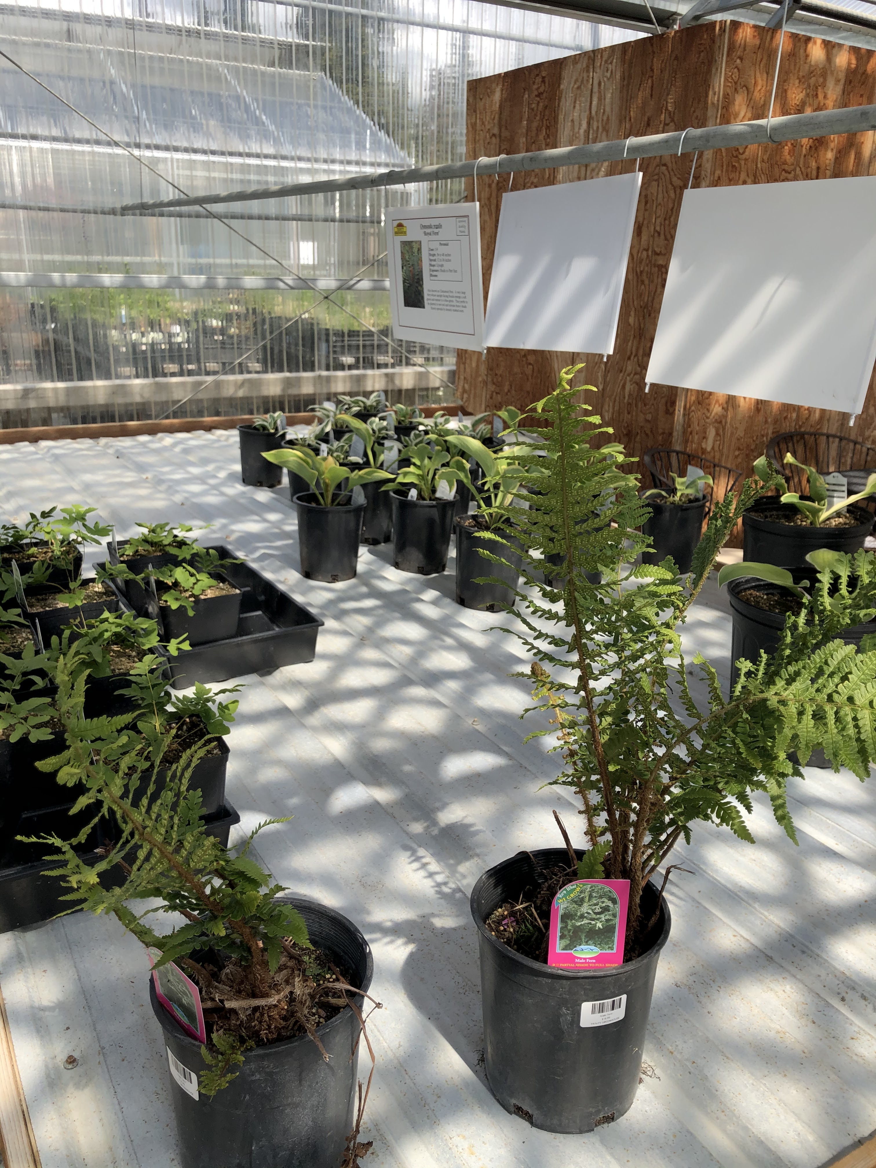 Trinity Greenhouse