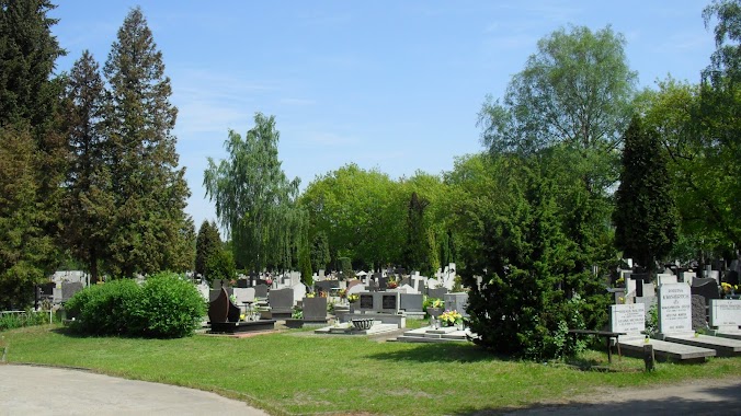 Parish cemetery. Sacred Heart of Jesus, Author: Kazimierz Mendlik