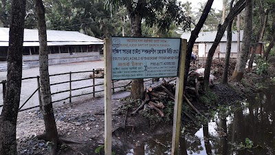 Photos of Emmanuel Church (Church of Bangladesh) Razapur, Barisal