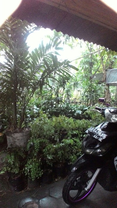 Photos of Jaka Taman