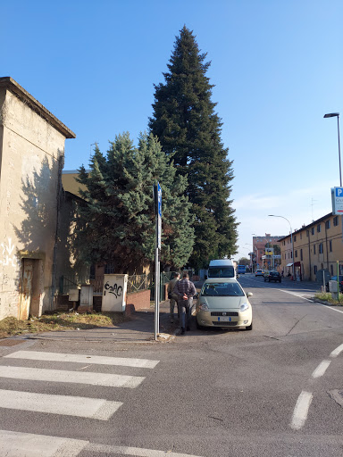 Triumvirato Car Service Snc - Thumbnail
