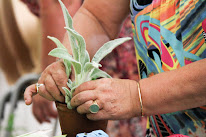 CCAS - Centre Communal d'Action Sociale à Castres