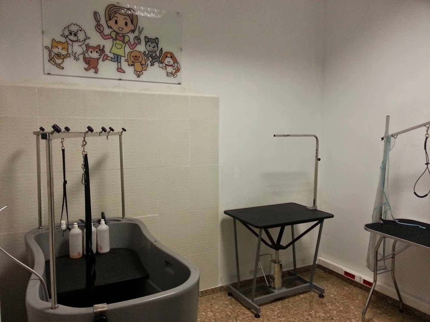 CLINICA VETERINARIA RAJOLAR
