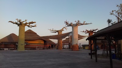 Photos of Dubai Safari site office