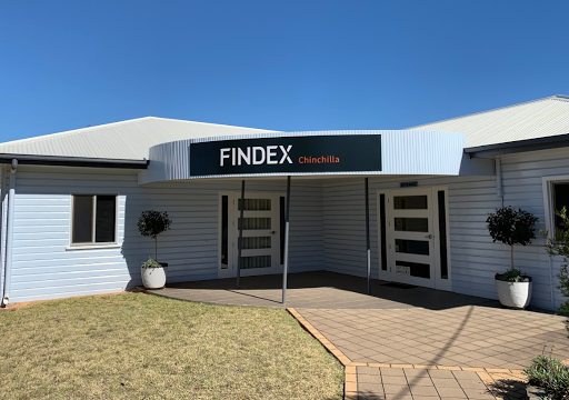 Findex Chinchilla
