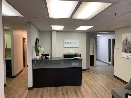 Sable Group LLC - Visual