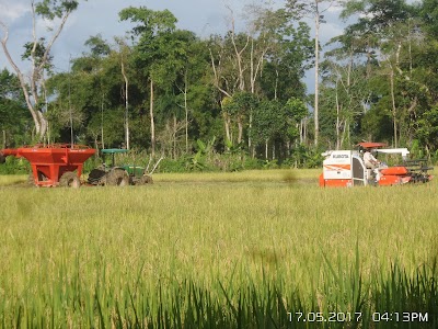 Photos of Apuestas C&uacute;cuta 75