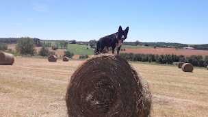 Photo n°30 de Le Manoir de Gaboria à Sainte-Gemme (Lieu de mariage)