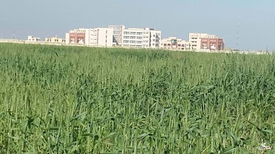 Photos of New Balkh University