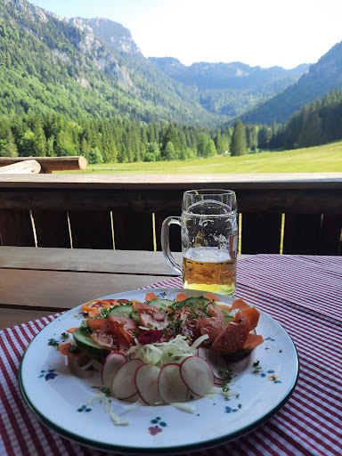 Wirtsalm - Visual