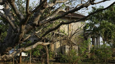 Photos of Shan Palace