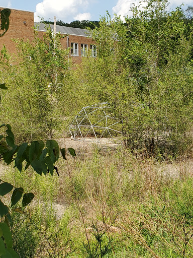 Regent Park - Thumbnail