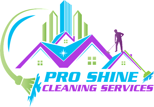 Pro Shine cleaning services